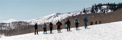 nude ski|Tis the Season! Watch a Full Frontal Naked Ski Lap at Bluebird ...